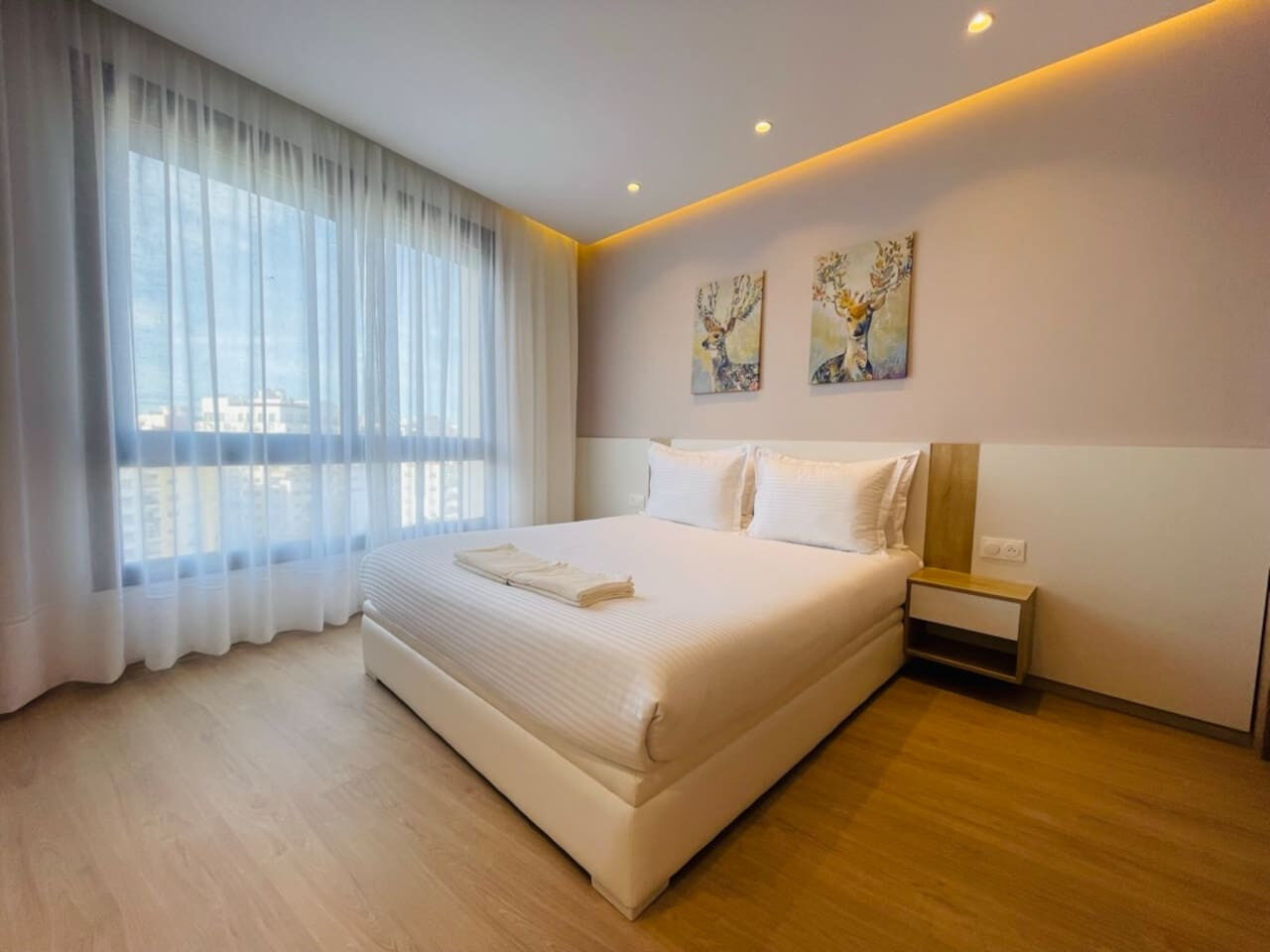 Luxury City Center Apartment