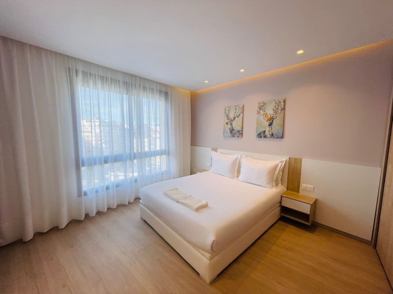 Luxury City Center Apartment