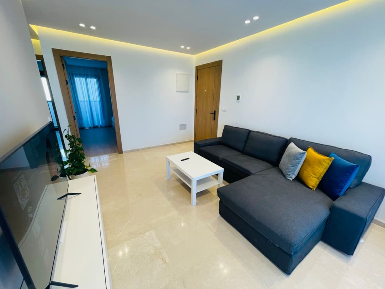 Luxury City Center Apartment