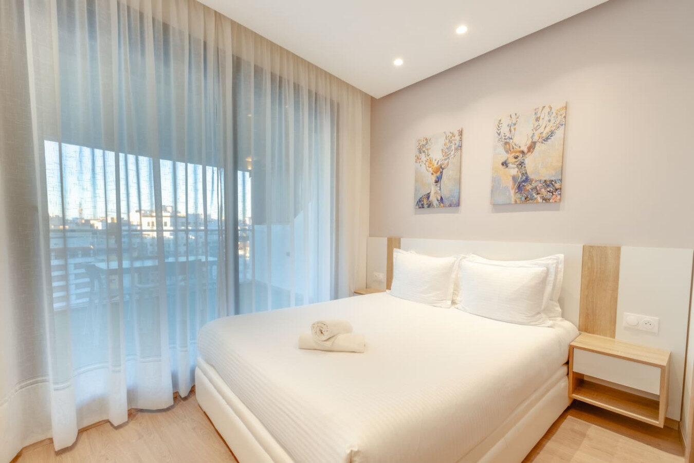 Luxury City Center Apartment